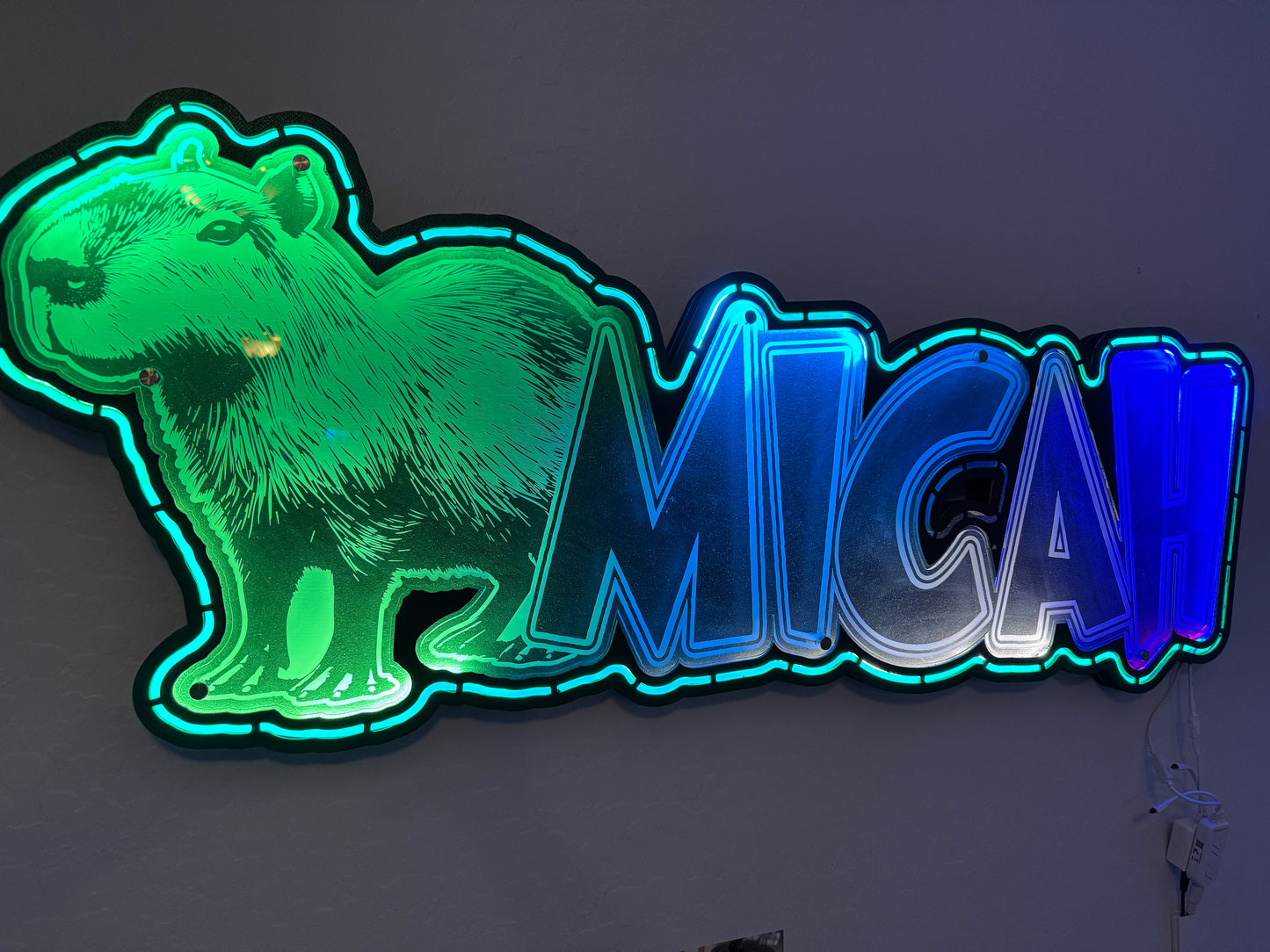 Customized LED Name Sign w/ Graphic